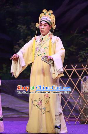 Chinese Guangdong Opera Xiaosheng Apparels Costumes and Headwear Traditional Cantonese Opera Scholar Wang Yu Garment Niche Clothing