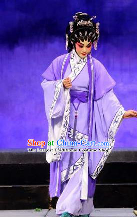 Chinese Cantonese Opera Diva Garment Pan Maoming Costumes and Headdress Traditional Guangdong Opera Actress Apparels Young Mistress Dress