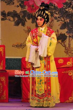 Chinese Cantonese Opera Young Beauty Garment Unhappy Marriage Costumes and Headdress Traditional Guangdong Opera Actress Apparels Hua Tan Dress