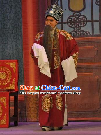 Da Nao Mei Zhi Fu Chinese Guangdong Opera Laosheng Apparels Costumes and Headwear Traditional Cantonese Opera Elderly Male Garment Landlord Lun Gongjing Red Clothing