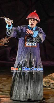 Chinese Traditional Qing Dynasty Official Apparels Costumes Historical Drama Da Qing Xiang Guo Ancient Garment Minister Clothing and Headwear