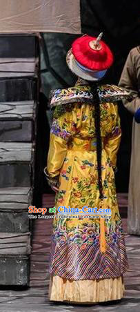 Chinese Traditional Qing Dynasty Emperor Apparels Costumes Historical Drama Da Qing Xiang Guo Ancient Monarch Garment Imperial Robe Clothing and Headwear