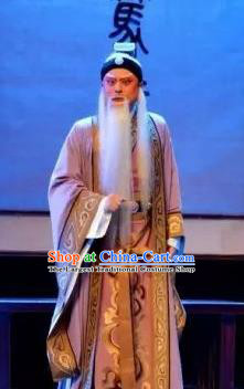 Yi Shui Han Chinese Guangdong Opera Laosheng Apparels Costumes and Headwear Traditional Cantonese Opera Official Garment Elderly Male Clothing