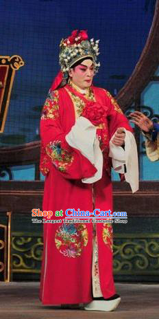 Fan Lihua Return Tang Chinese Guangdong Opera Bridegroom Xue Dingshan Apparels Costumes and Headwear Traditional Cantonese Opera Martial Male Garment Young General Clothing