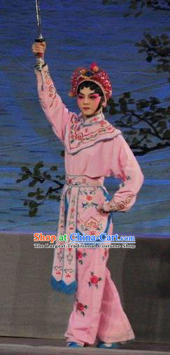 Chinese Cantonese Opera Swordswoman Garment Fan Lihua Return Tang Costumes and Headdress Traditional Guangdong Opera Wudan Apparels Martial Female Pink Dress