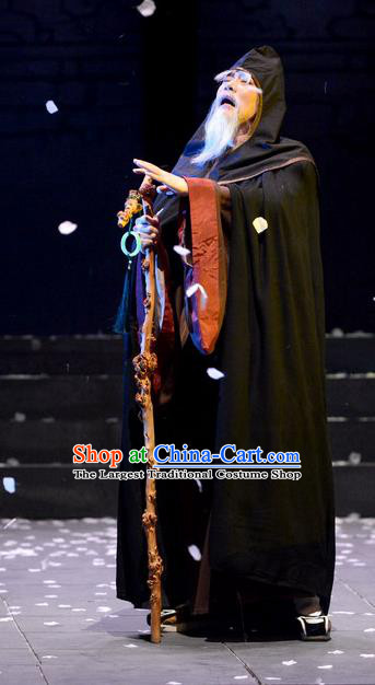 Chinese Traditional Song Dynasty Poet Lu You Apparels Costumes Historical Drama Phoenix Hairpin Ancient Elderly Male Garment Literati Clothing and Headwear