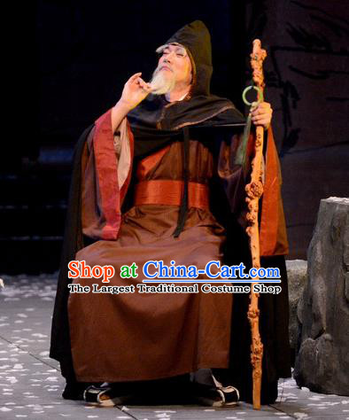 Chinese Traditional Song Dynasty Poet Lu You Apparels Costumes Historical Drama Phoenix Hairpin Ancient Elderly Male Garment Literati Clothing and Headwear