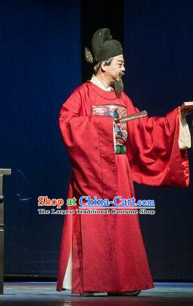 Chinese Traditional Ming Dynasty Clothing Stage Performance Historical Drama Da Song Yu Shi Apparels Official Costumes Ancient Minister Hai Rui Garment and Headwear
