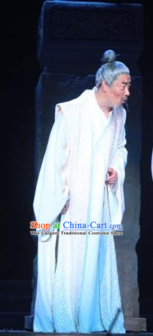 Chinese Traditional Ming Dynasty Elderly Male Clothing Stage Performance Historical Drama Apparels Costumes Ancient Official Xu Jie Garment and Headwear