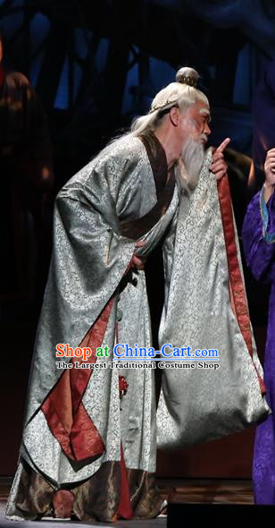 Chinese Traditional Han Dynasty Minister Clothing Stage Performance Historical Drama King of Nanyue Elderly Male Apparels Costumes Ancient Envoy Lu Jia Garment and Headwear