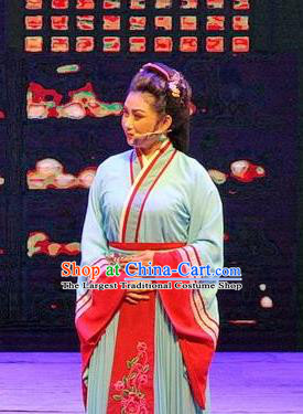 Chinese Historical Drama Ballast Stone Ancient Dame Garment Costumes Traditional Stage Show Actress Dress Three Kingdoms Period Madame Apparels and Headpieces