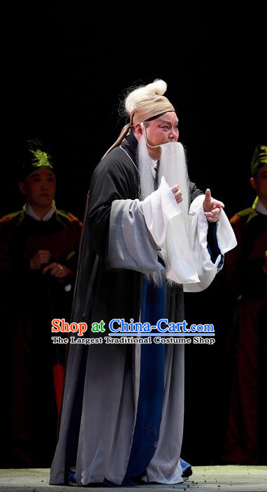 Cao Min Song Shijie Chinese Sichuan Opera Civilian Apparels Costumes and Headpieces Peking Opera Highlights Old Scholar Garment Elderly Male Clothing