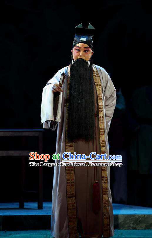 Cao Min Song Shijie Chinese Sichuan Opera Elderly Male Mao Peng Apparels Costumes and Headpieces Peking Opera Highlights Garment Old Man Clothing