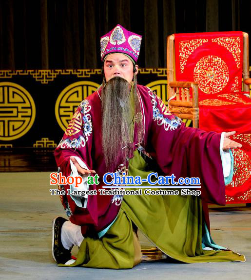Chinese Sichuan Opera Laosheng Apparels Costumes and Headpieces Peking Opera Highlights Elderly Male Garment Landlord Li Qi Clothing