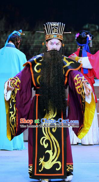 Fu Gui Rong Hua Chinese Sichuan Opera Official Apparels Costumes and Headpieces Peking Opera Highlights Laosheng Garment Elderly Male Clothing