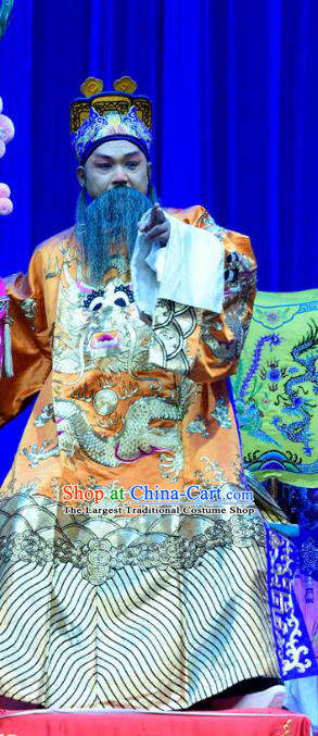 Bei Mang Mountain Chinese Sichuan Opera Lord Apparels Costumes and Headpieces Peking Opera Highlights Elderly Male Garment Emperor Zhouxiang Clothing