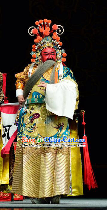 Dan Dao Hui Chinese Sichuan Opera General Guan Yu Apparels Costumes and Headpieces Peking Opera Highlights Military Officer Garment Painted Role Clothing