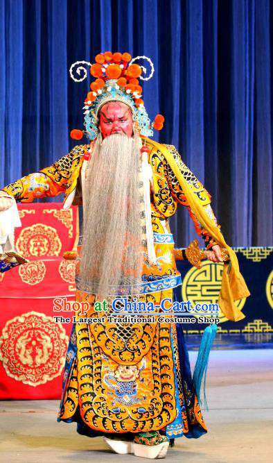 Dan Dao Hui Chinese Sichuan Opera Martial Male Apparels Costumes and Headpieces Peking Opera Highlights General Garment Guan Yu Armor Clothing