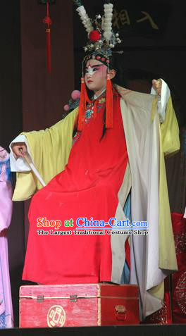 Jin Dian Jing Song Chinese Sichuan Opera Young Male Apparels Costumes and Headpieces Peking Opera Highlights Clown Garment King Songkang Clothing