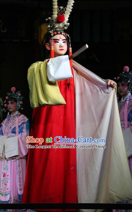 Jin Dian Jing Song Chinese Sichuan Opera Young Male Apparels Costumes and Headpieces Peking Opera Highlights Clown Garment King Songkang Clothing