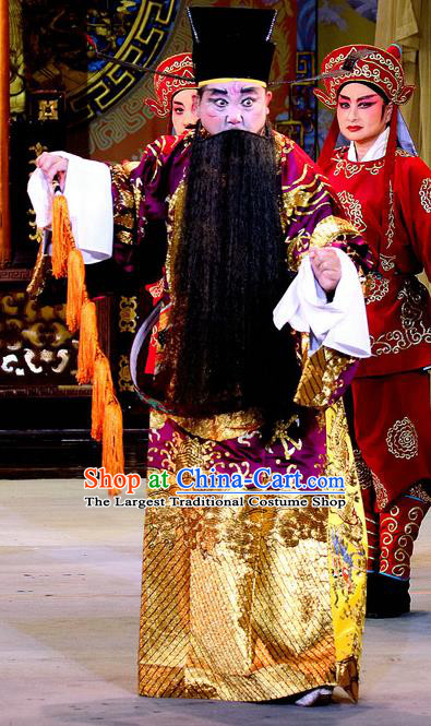 Bai Shou Tu Chinese Sichuan Opera Laosheng Apparels Costumes and Headpieces Peking Opera Highlights Elderly Male Garment Official Zhang Tianzuo Clothing