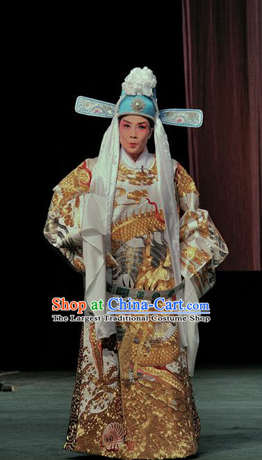 The Romance of Hairpin Chinese Sichuan Opera Scholar Wang Shipeng Apparels Costumes and Headpieces Peking Opera Highlights Niche Garment Official Clothing