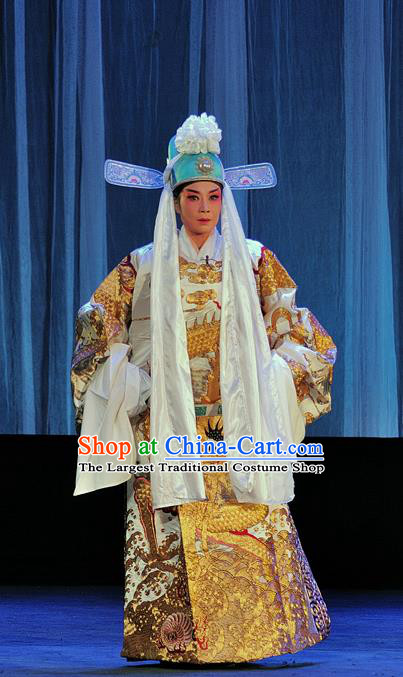 The Romance of Hairpin Chinese Sichuan Opera Scholar Wang Shipeng Apparels Costumes and Headpieces Peking Opera Highlights Niche Garment Official Clothing