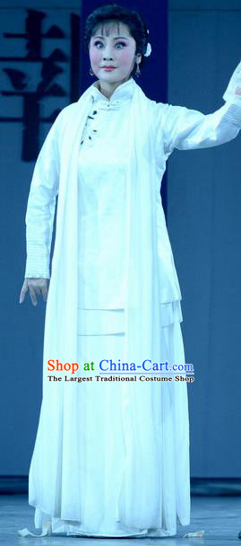 Chinese Hebei Clapper Opera Diva Liu Xikui Garment Costumes and Headdress Bei Guo Jia Ren Traditional Bangzi Opera Hua Tan Dress Actress Apparels