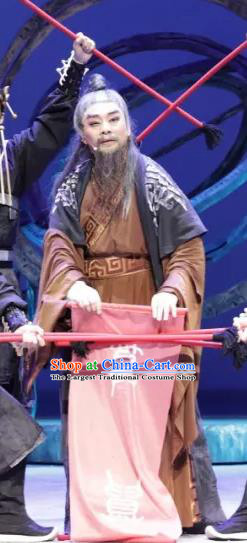 Luo Xiahong Chinese Sichuan Opera Laosheng Apparels Costumes and Headpieces Peking Opera Highlights Elderly Scholar Garment Clothing