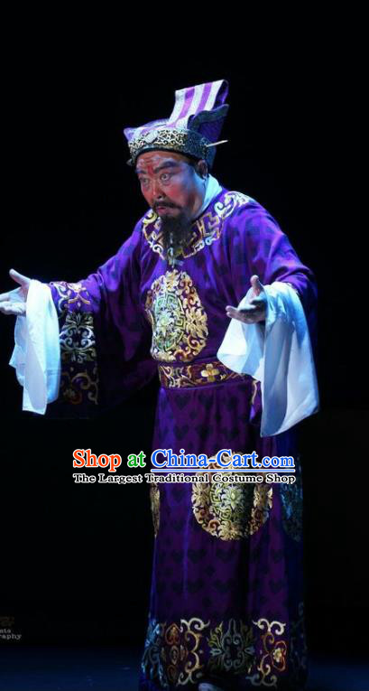 Shi Jiu Taibai Chinese Sichuan Opera Chancellor Li Linfu Apparels Costumes and Headpieces Peking Opera Highlights Elderly Male Garment Prime Minister Clothing