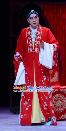 Zhen Zhu Shan Chinese Bangzi Opera Merchant Jiang Xing Apparels Costumes and Headpieces Traditional Hebei Clapper Opera Young Male Garment Clothing