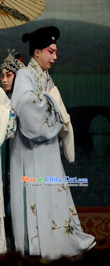 Madam White Snake Chinese Bangzi Opera Scholar Xu Xian Apparels Costumes and Headpieces Traditional Hebei Clapper Opera Xiaosheng Garment Young Male Clothing