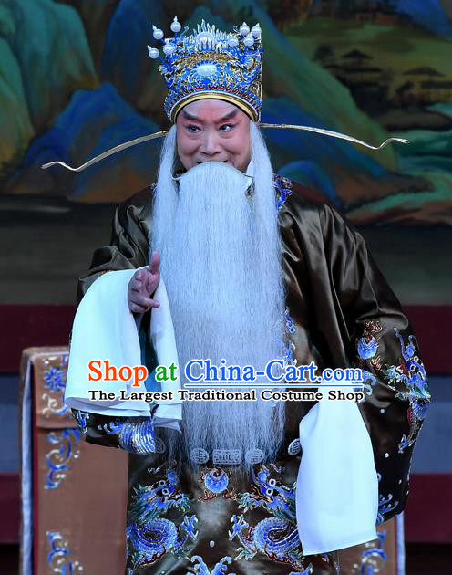 Xue Gang Fan Tang Chinese Bangzi Opera Elderly Male Apparels Costumes and Headpieces Traditional Hebei Clapper Opera Laosheng Garment Official Xu Ce Clothing