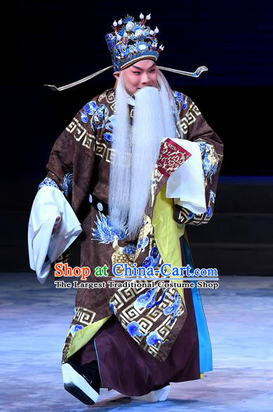 Xue Gang Fan Tang Chinese Bangzi Opera Minister Apparels Costumes and Headpieces Traditional Hebei Clapper Opera Official Xu Ce Garment Laosheng Clothing
