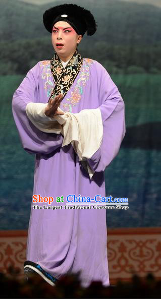 Madam White Snake Chinese Bangzi Opera Young Male Apparels Costumes and Headpieces Traditional Hebei Clapper Opera Xiaosheng Garment Scholar Xu Xian Clothing
