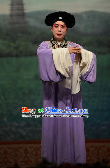 Madam White Snake Chinese Bangzi Opera Young Male Apparels Costumes and Headpieces Traditional Hebei Clapper Opera Xiaosheng Garment Scholar Xu Xian Clothing