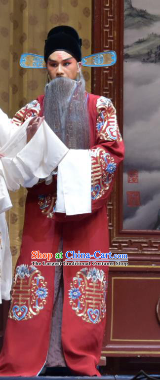 Xiao Yan Chinese Bangzi Opera Elderly Male Dong Zhuo Apparels Costumes and Headpieces Traditional Hebei Clapper Opera Laosheng Garment Landlord Clothing