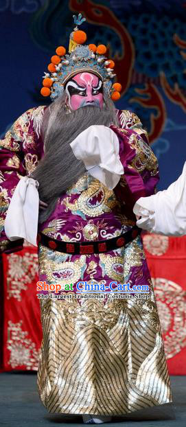 The Butterfly Chalice Chinese Bangzi Opera Painted Role Apparels Costumes and Headpieces Traditional Hebei Clapper Opera Garment Commander Lu Lin Clothing