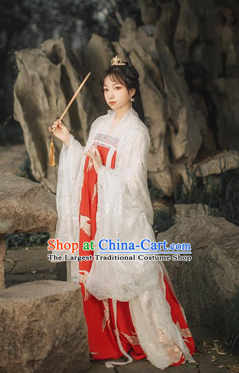 Chinese Tang Dynasty Noble Female Red Cape Blouse and Dress Traditional Historical Costumes Ancient Goddess Hanfu Garment Full Set