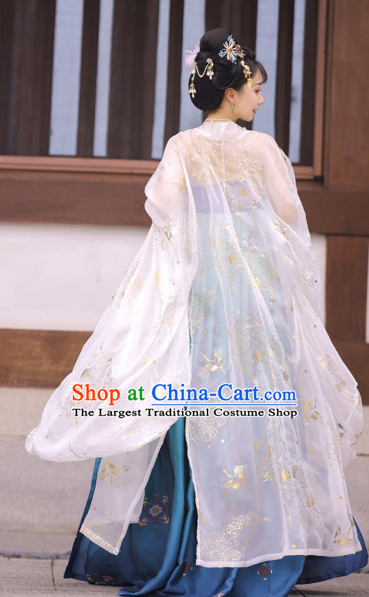 Chinese Tang Dynasty Princess Cloak and Blue Dress Traditional Hanfu Garment Ancient Court Women Historical Costumes Full Set