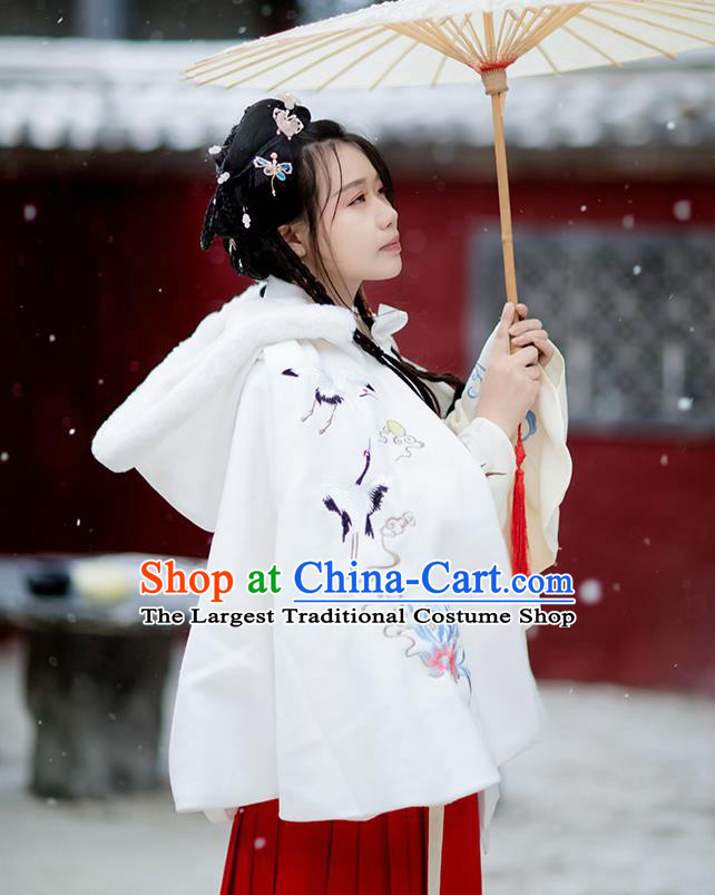 Chinese Ming Dynasty Princess Costumes Traditional Hanfu Garment Ancient Embroidered Crane White Short Cloak for Women
