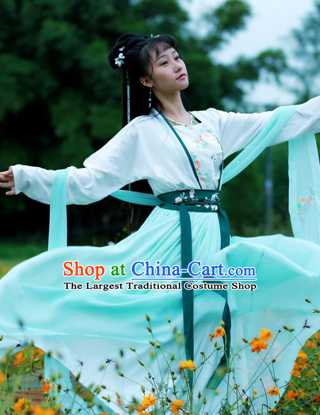 Chinese Tang Dynasty Village Girl Embroidered Costumes Traditional Ancient Young Lady Hanfu Garment Blouse and Skirt Full Set