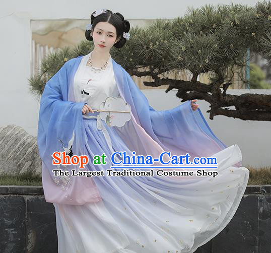 Chinese Tang Dynasty Palace Lady Costumes Traditional Ancient Imperial Consort Garment Hanfu Embroidered Blue Cape Blouse and Skirt Full Set