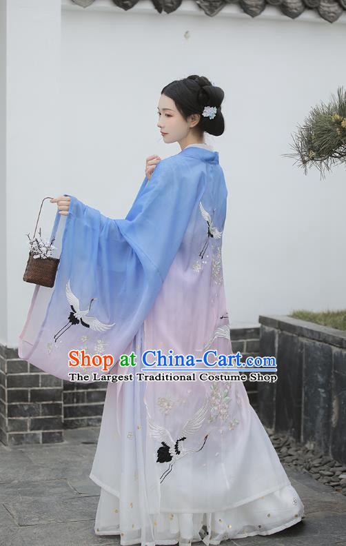 Chinese Tang Dynasty Palace Lady Costumes Traditional Ancient Imperial Consort Garment Hanfu Embroidered Blue Cape Blouse and Skirt Full Set