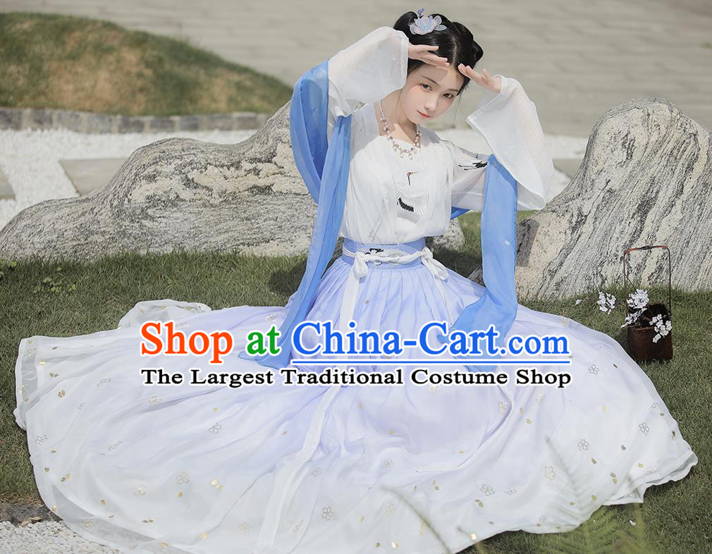 Chinese Tang Dynasty Palace Lady Costumes Traditional Ancient Imperial Consort Garment Hanfu Embroidered Blue Cape Blouse and Skirt Full Set