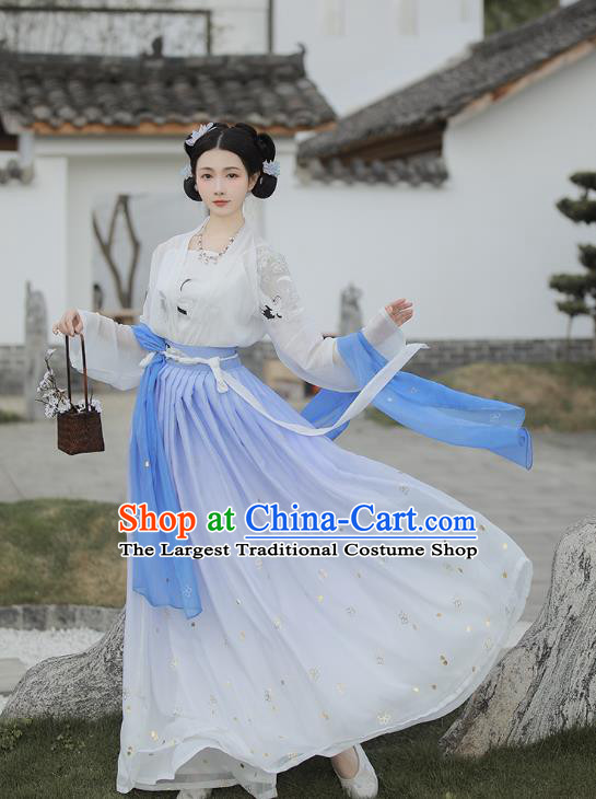 Chinese Tang Dynasty Palace Lady Costumes Traditional Ancient Imperial Consort Garment Hanfu Embroidered Blue Cape Blouse and Skirt Full Set