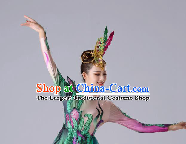 Traditional Chinese Modern Dance Outfits Classical Dance Rosy Dress Opening Dance Stage Performance Costume for Women