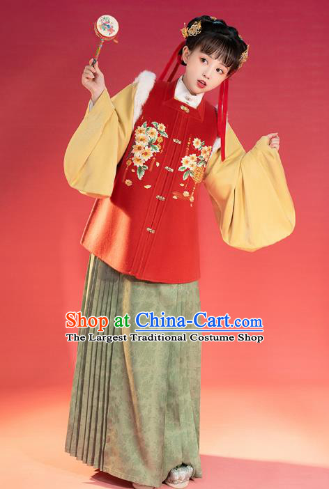 China Traditional Ming Dynasty Young Lady Historical Clothing Ancient Patrician Beauty Winter Hanfu Costume