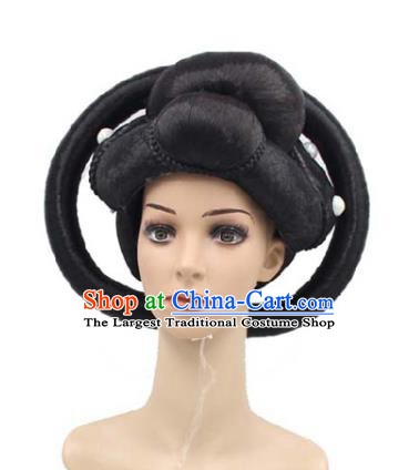 Chinese Classical Dance Hair Chignon Traditional Tang Dynasty Imperial Consort Wigs Sheath
