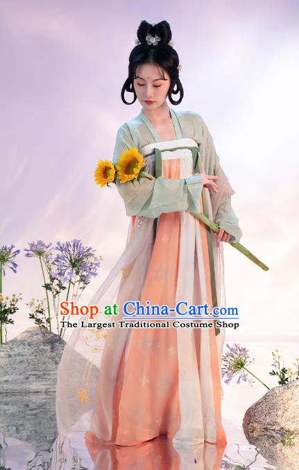 China Ancient Court Lady Hanfu Dress Apparels Traditional Tang Dynasty Historical Clothing